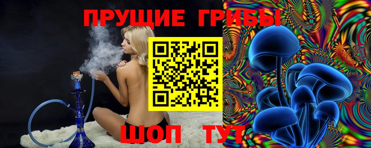 Обь  Галлюциногенные грибы MAGIC MUSHROOMS  Вход с VPN  Псилоцибиновые грибы мицелий 