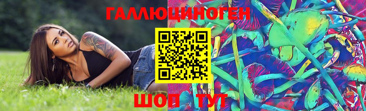Галлюциногенные грибы Cubensis Обь